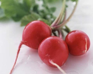 322 T-3 Red radish - Củ cải đỏ - ラデッシュ 1kg