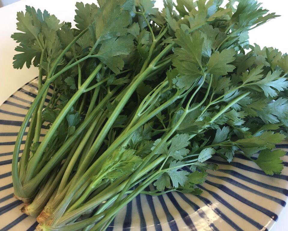 321 T-4 Leaf celery - Cần tây lá - 葉セロリ 1kg