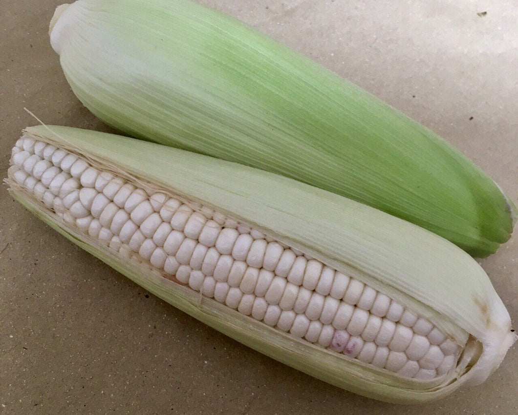 302 T-7 Vietnamese corn - Bắp nếp - 餅とうもろこし 1kg