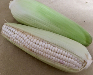 302 T-4 Vietnamese corn - Bắp nếp - 餅とうもろこし 1kg