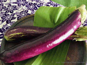 393 C-N Vietnamese eggplant - Cà tím  - ナス  1kg
