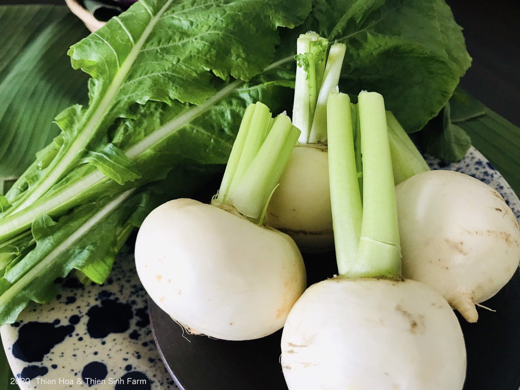 324 T-7 Turnip - Củ cải trắng tròn - 小かぶ 1kg