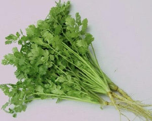350 T-6 Coriander - Ngò rí - コリアンダー 1kg
