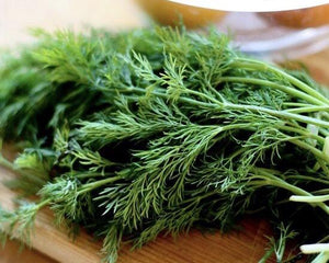 359 T-4 Dill - Thì là - ディル 1kg