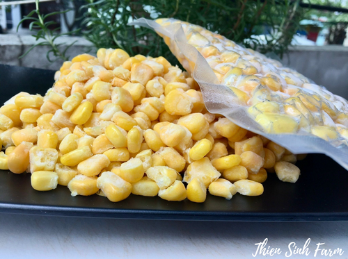 623 Tue-sgn Frozen Sweet Corn/Bắp ngọt đông lạnh/冷凍スイートコーン300g