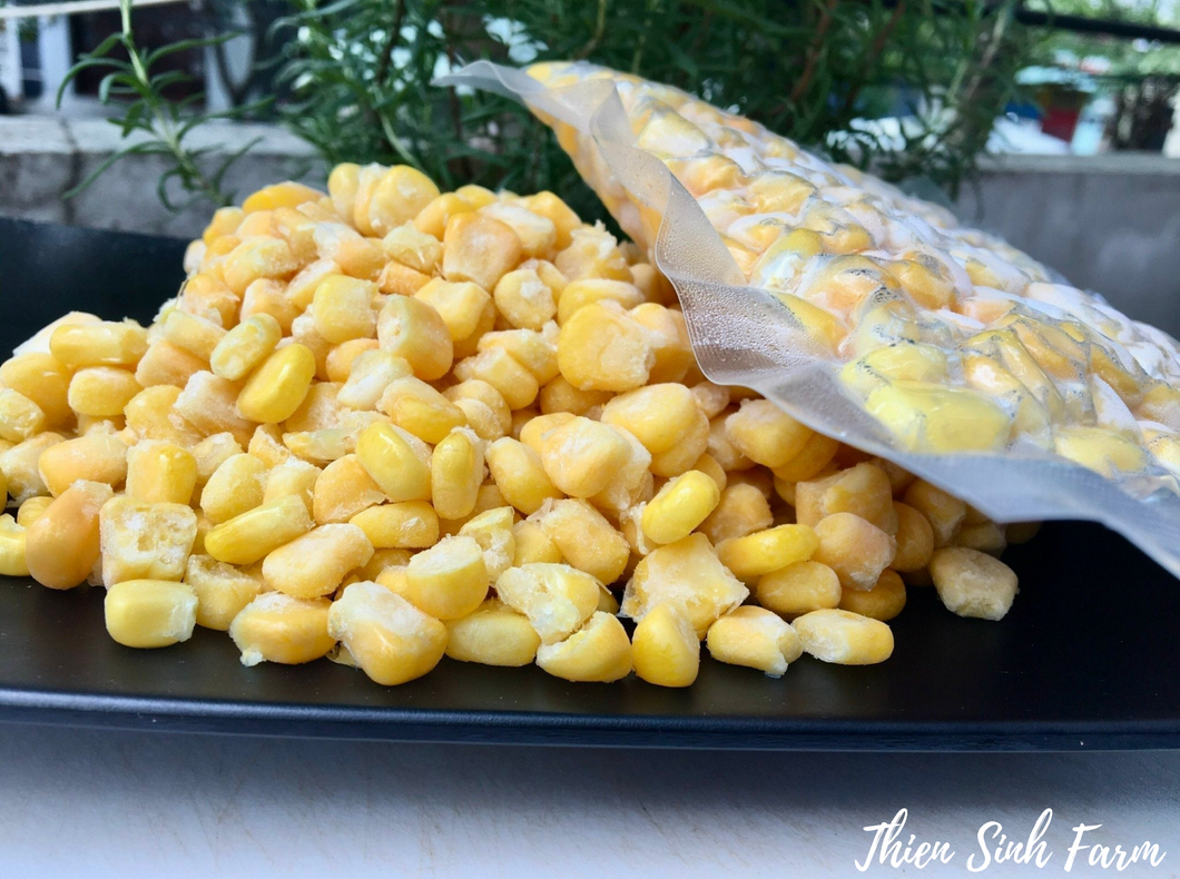 623 Thu-sgn Frozen Sweet Corn/Bắp ngọt đông lạnh/冷凍スイートコーン300g