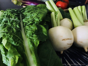 326 T-4 Turnip+leaves - Củ cải trắng tròn+lá - 小かぶ+葉 1kg