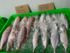 793 ALL-sgn Sea Fish market & cooking class for kids/Chợ cá biển và lớp học nấu ăn cho trẻ em