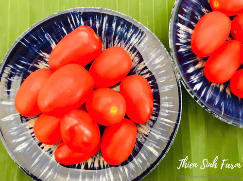 104 Thu-fam Cherry tomato/Cà chua bi/ミニトマト300g