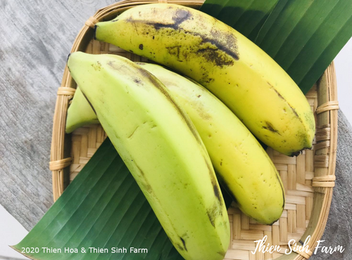 196 Wed-fam Laba Banana /Chuối Laba /Laba バナナ 500g