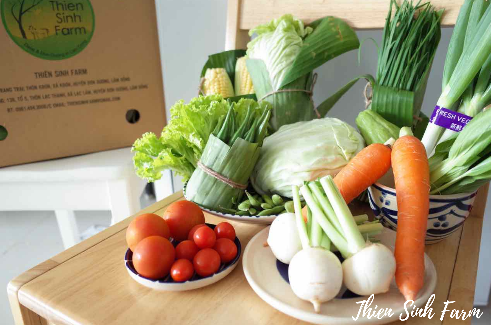 402 Thu-set Vegetable Set 400K/Combo 400K/セットEco+16 – Thien Sinh Farm