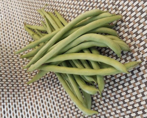 329 C-N Vietnamese green bean - Đậu cove - インゲン(太） 1kg Giá: Liên hệ