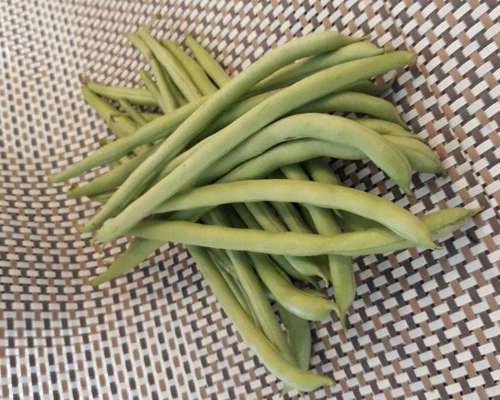 329 C-N Vietnamese green bean - Đậu cove - インゲン(太） 1kg