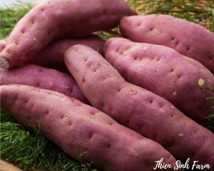 142 Mon-fam Sweet potato/Khoai lang nhật/サツマイモ500g