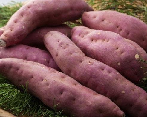 342 C-N Sweet potato - Khoai lang nhật - サツマイモ 1kg