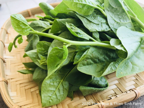 345 C-N Mồng tơi/Malabar spinach/ジャガイモ 1kg