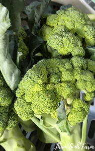 157 Thu-fam Broccoli/Súp lơ xanh/ブロッコリー450g