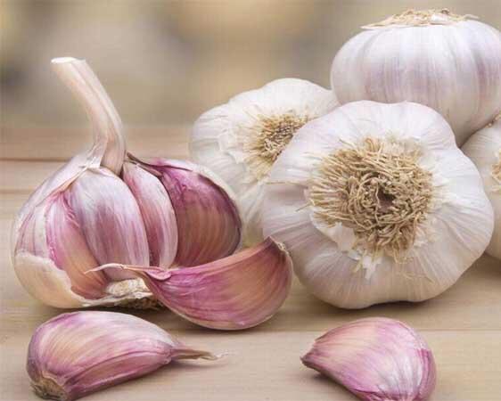 372 T-7 Garlic - Tỏi - ニンニク 1kg